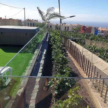 La * 기아데이소라