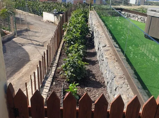 La * Guia de Isora (Tenerife)